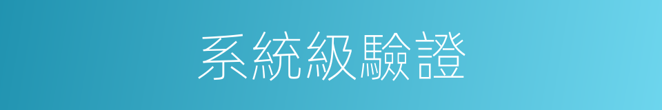 系統級驗證的同義詞