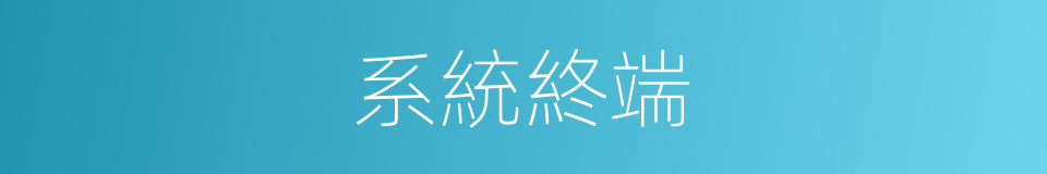 系統終端的同義詞