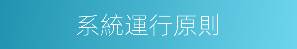 系統運行原則的同義詞