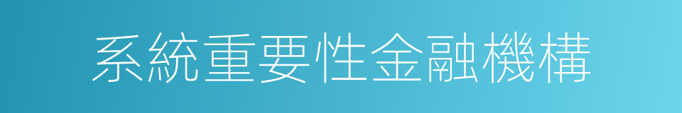 系統重要性金融機構的同義詞