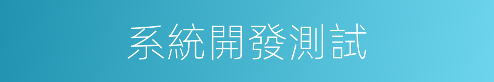 系統開發測試的同義詞
