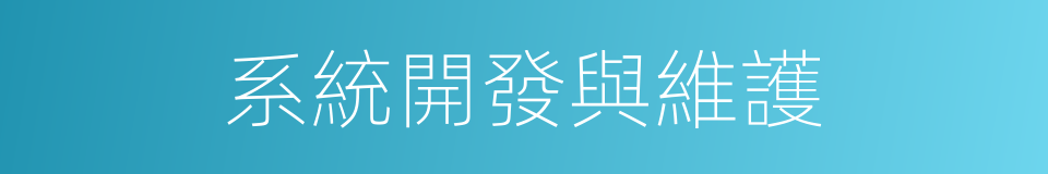 系統開發與維護的同義詞