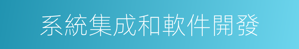 系統集成和軟件開發的同義詞