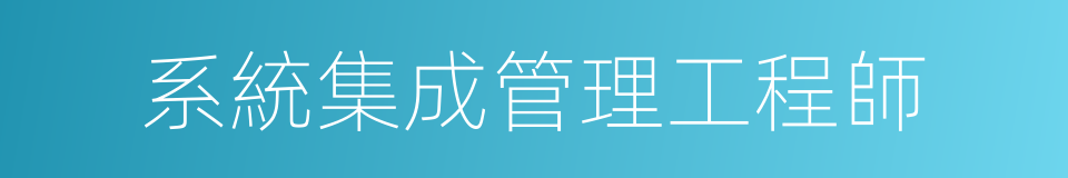 系統集成管理工程師的同義詞