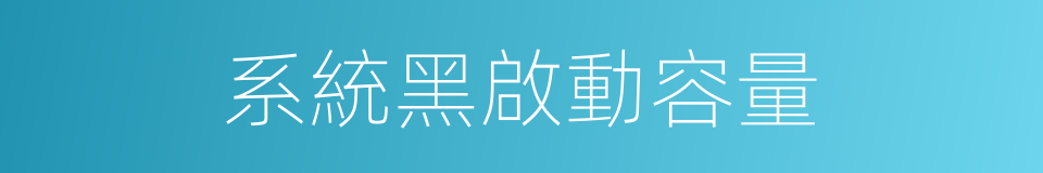 系統黑啟動容量的同義詞
