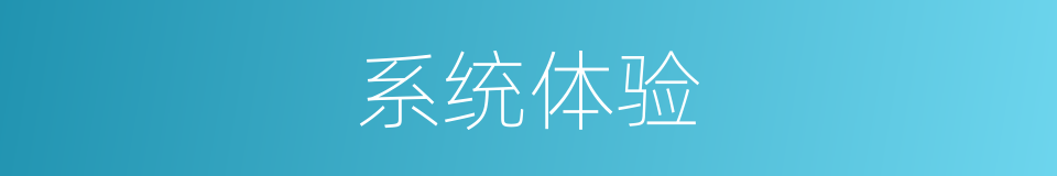 系统体验的同义词