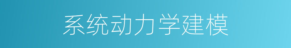 系统动力学建模的同义词