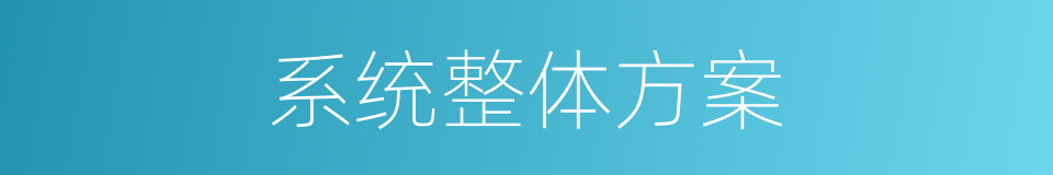 系统整体方案的同义词