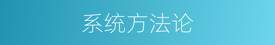 系统方法论的同义词