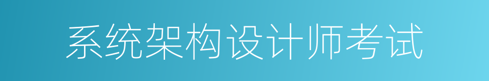系统架构设计师考试的同义词