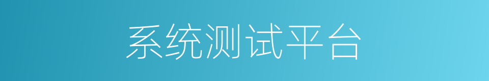 系统测试平台的同义词