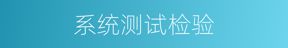 系统测试检验的同义词