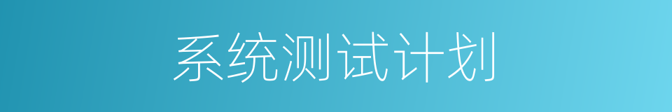 系统测试计划的同义词