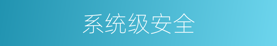 系统级安全的同义词