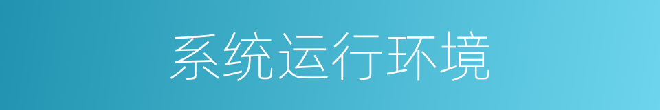 系统运行环境的同义词