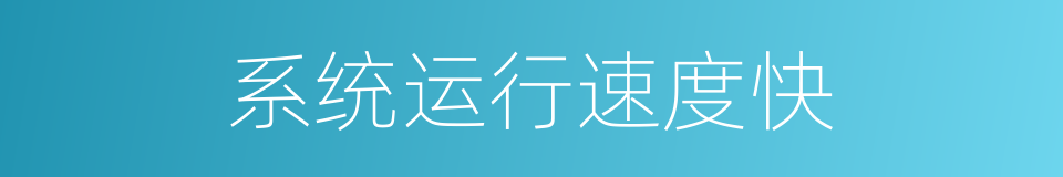 系统运行速度快的同义词