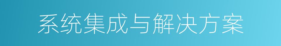 系统集成与解决方案的同义词