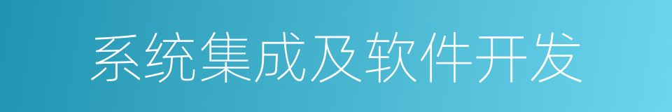 系统集成及软件开发的同义词