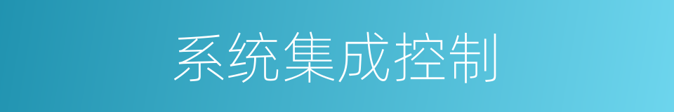 系统集成控制的同义词