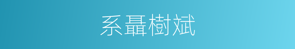 系聶樹斌的同義詞