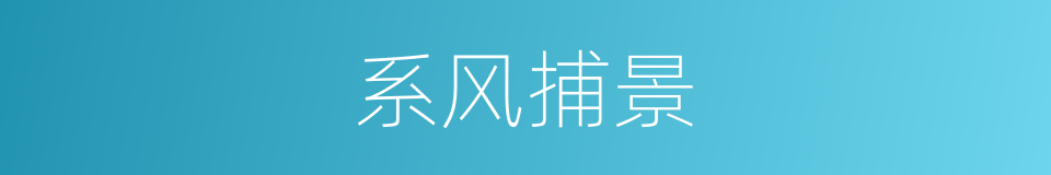 系风捕景的意思