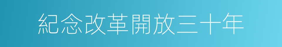 紀念改革開放三十年的同義詞