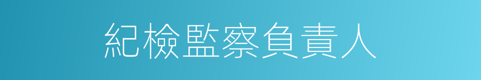 紀檢監察負責人的同義詞