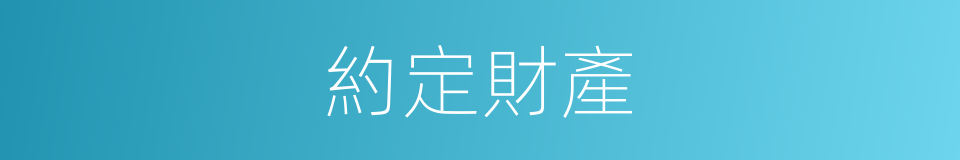 約定財產的同義詞