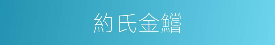 約氏金鱨的同義詞