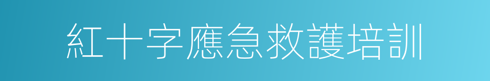 紅十字應急救護培訓的同義詞