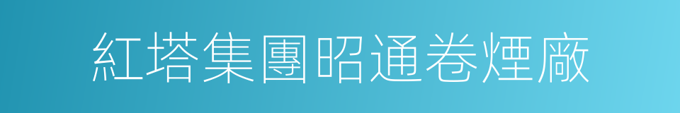 紅塔集團昭通卷煙廠的同義詞