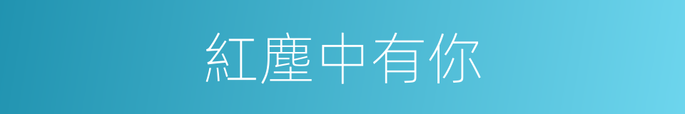 紅塵中有你的同義詞