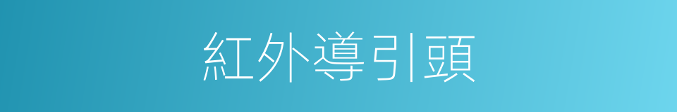 紅外導引頭的同義詞