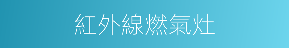 紅外線燃氣灶的同義詞