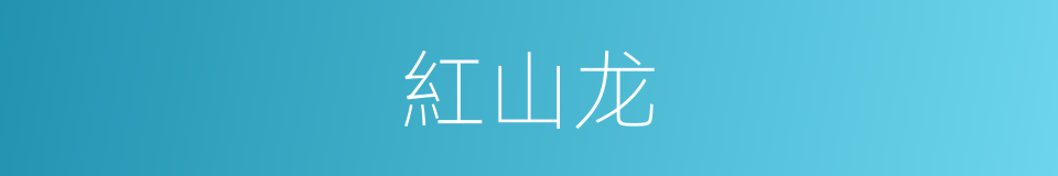 紅山龙的同義詞