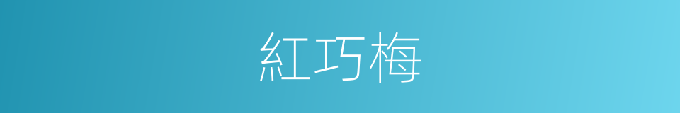 紅巧梅的同義詞
