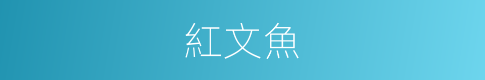 紅文魚的同義詞