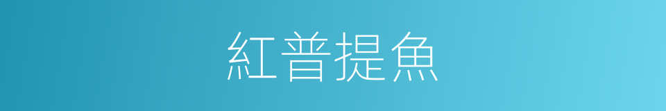 紅普提魚的同義詞