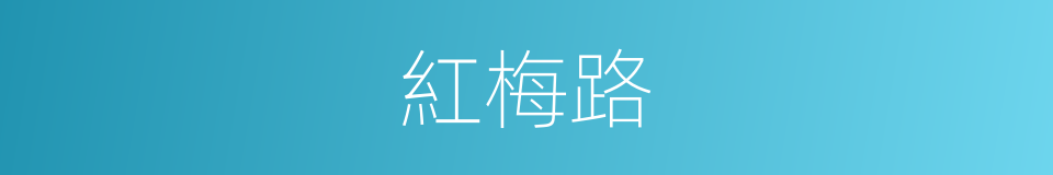 紅梅路的同義詞