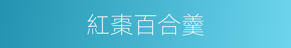 紅棗百合羹的同義詞