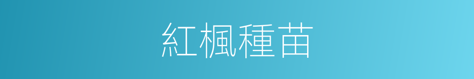 紅楓種苗的同義詞