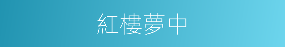 紅樓夢中的同義詞