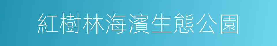 紅樹林海濱生態公園的同義詞