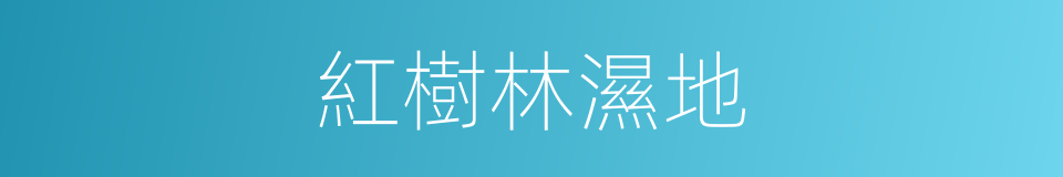 紅樹林濕地的同義詞