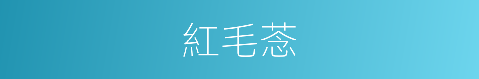 紅毛菍的同義詞