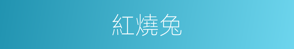 紅燒兔的同義詞