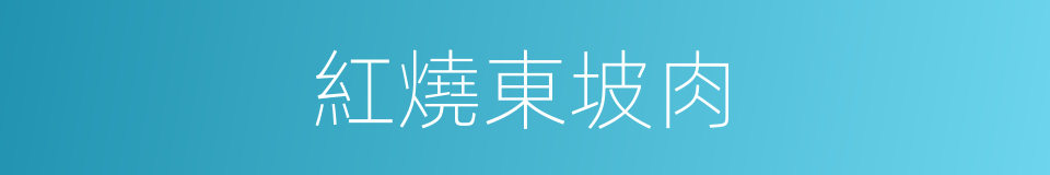 紅燒東坡肉的同義詞