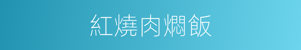 紅燒肉燜飯的同義詞