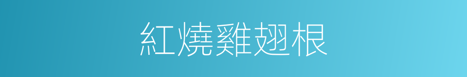 紅燒雞翅根的同義詞