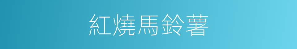 紅燒馬鈴薯的同義詞